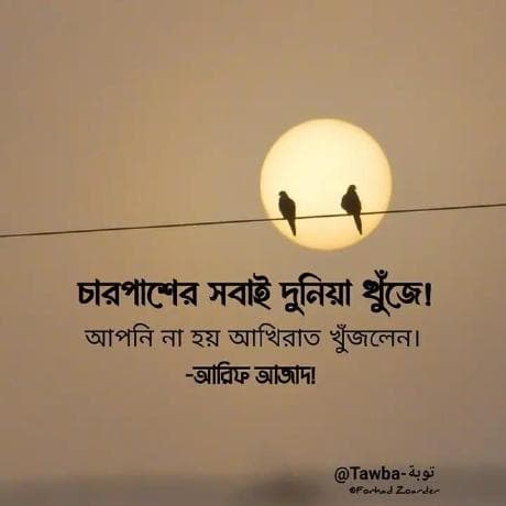 tanvirfahimbd